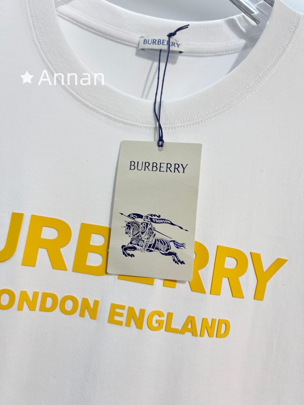 激レア 極美品 BURBERRY バーバリー Tシャツ 半袖 夏服 トップス 男女兼用 激レア 極美品 BURBERRY バーバリー Tシャツ 半袖 夏服 トップス 男女兼用