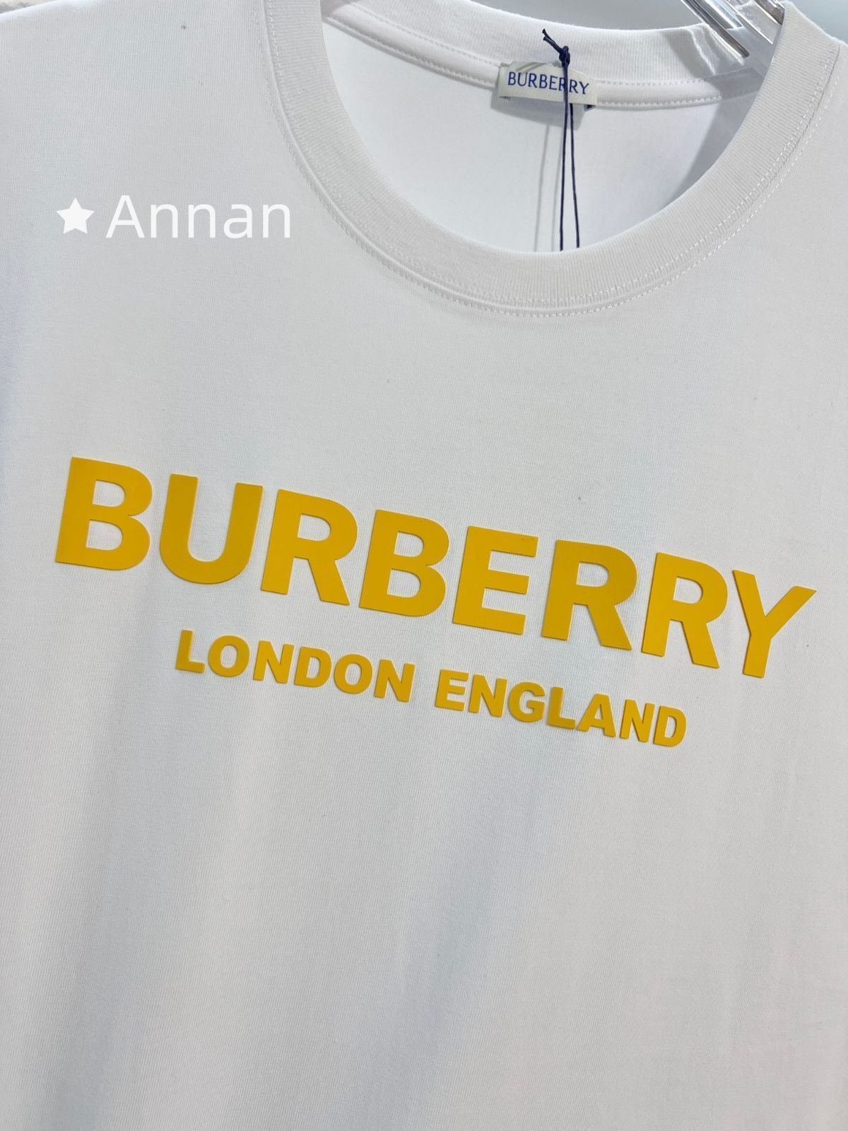 激レア 極美品 BURBERRY バーバリー Tシャツ 半袖 夏服 トップス 男女兼用 激レア 極美品 BURBERRY バーバリー Tシャツ 半袖 夏服 トップス 男女兼用