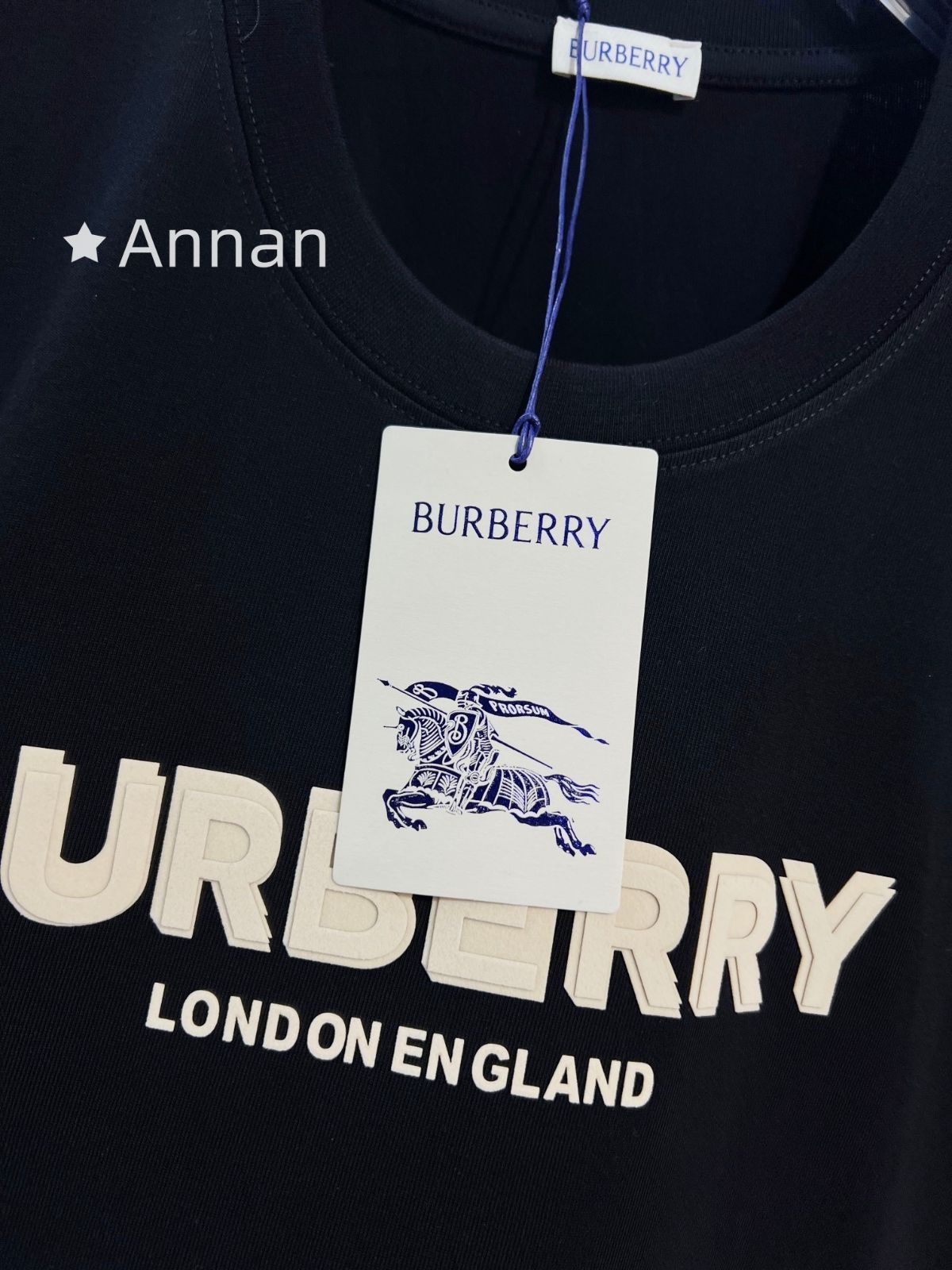 超美品 送料込☆BURBERRY バーバリー Tシャツ　半袖　夏服　トップス 男女兼用