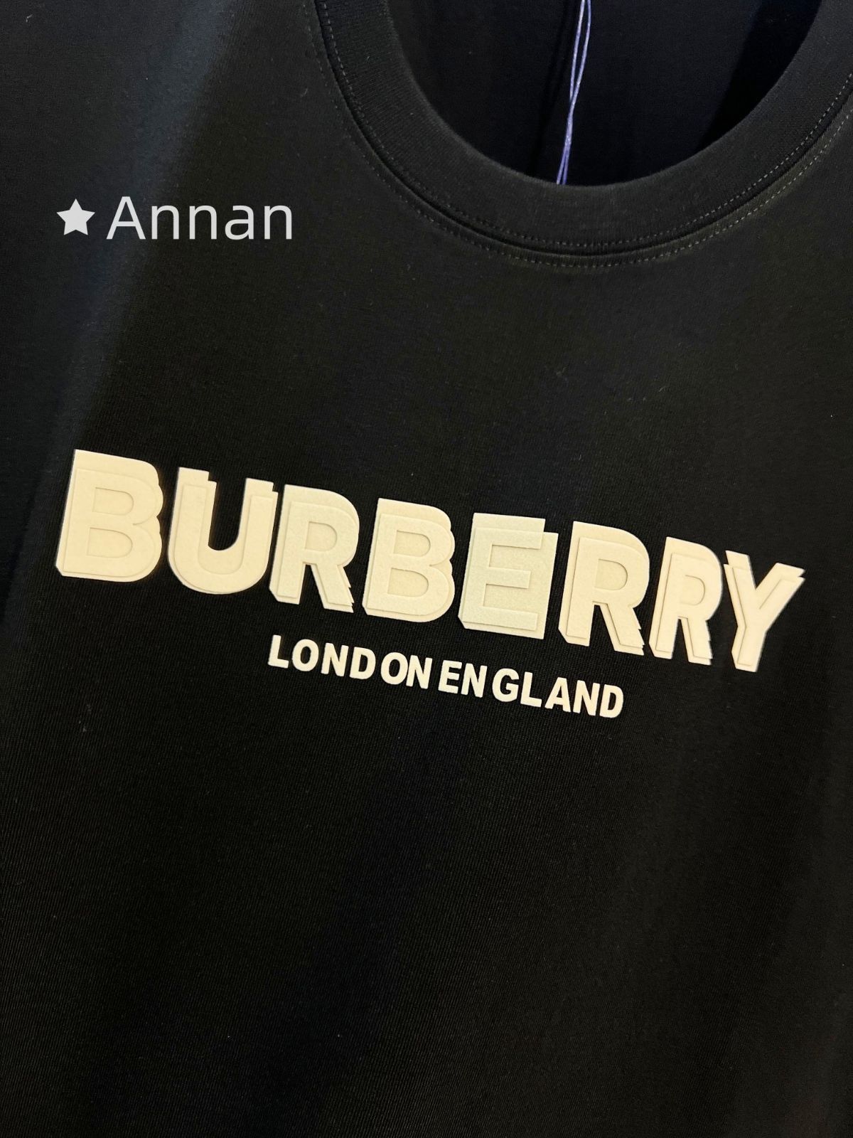 超美品 送料込☆BURBERRY バーバリー Tシャツ　半袖　夏服　トップス 男女兼用