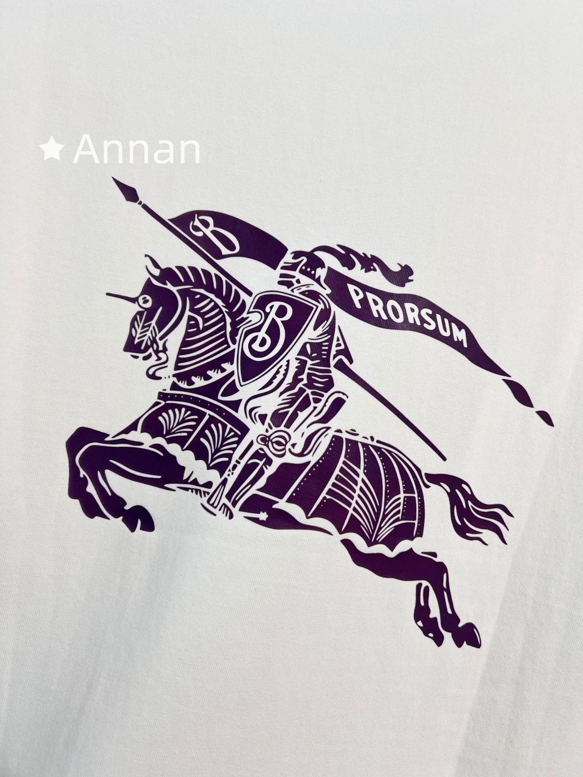 本日特価 本日限定！BURBERRY バーバリー Tシャツ　半袖　夏服　トップス 男女兼用