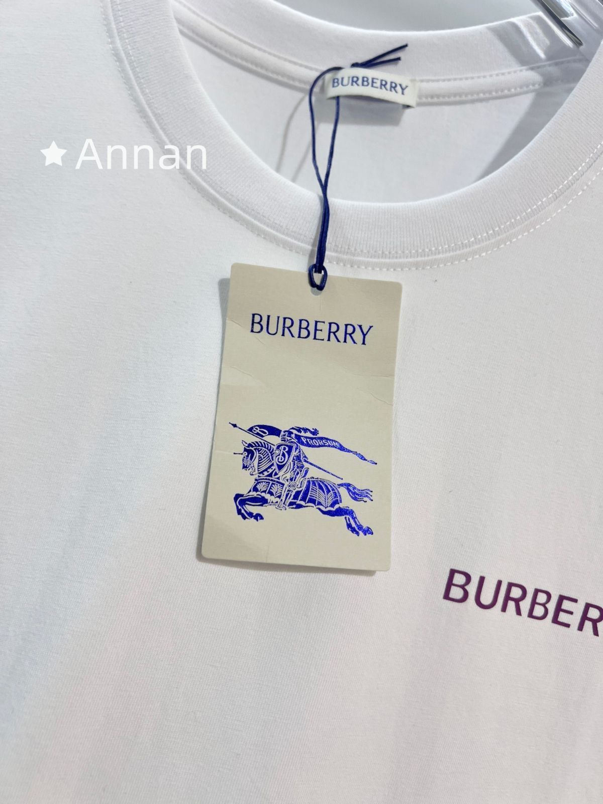 本日特価 本日限定！BURBERRY バーバリー Tシャツ　半袖　夏服　トップス 男女兼用
