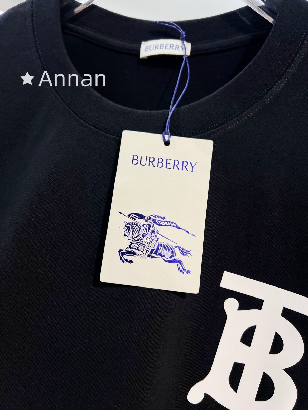 現行モデ 本日限定！BURBERRY バーバリー Tシャツ　半袖　夏服　トップス 男女兼用