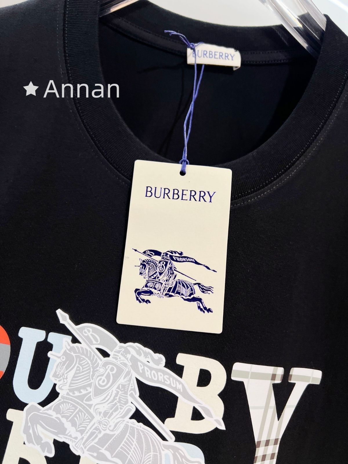 本日限定!BURBERRY バーバリー Tシャツ 半袖 夏服 トップス 男女兼用 本日限定!BURBERRY バーバリー Tシャツ 半袖 夏服 トップス 男女兼用