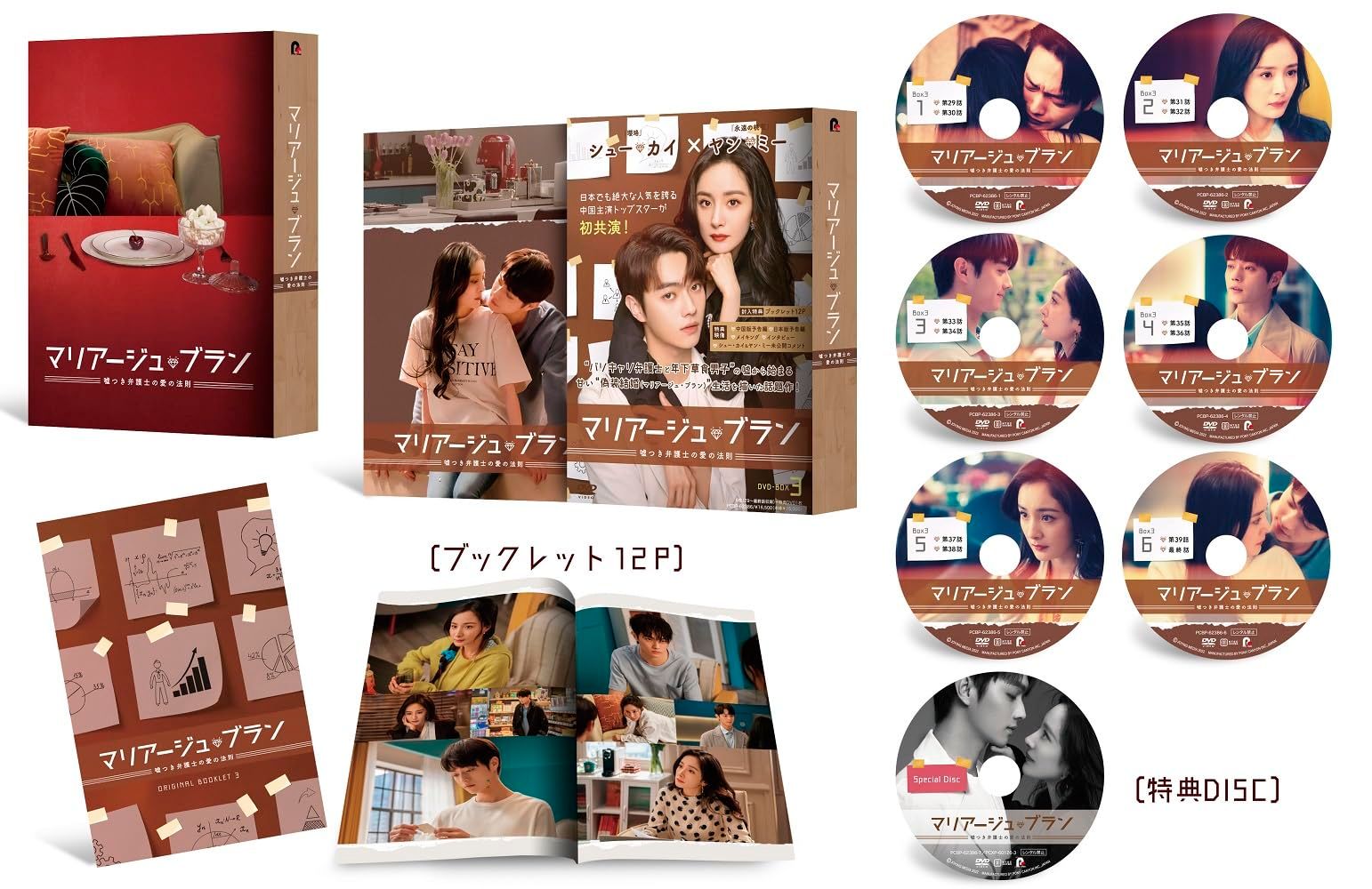 マリアージュ・ブラン～嘘つき弁護士の愛の法則～ DVD-BOX3(特典なし) [DVD]