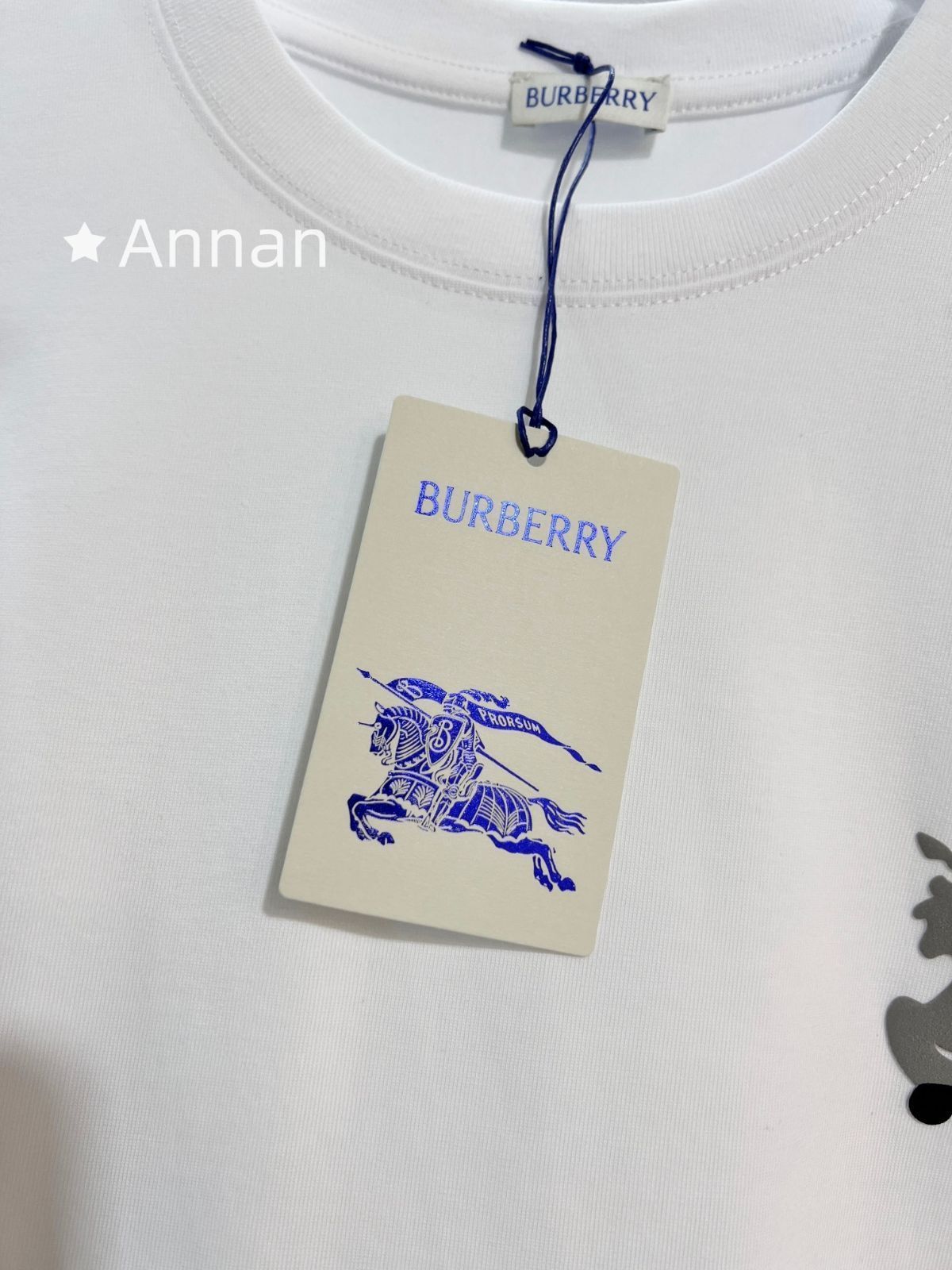 大幅値下げ BURBERRY バーバリー Tシャツ　半袖　夏服　トップス 男女兼用