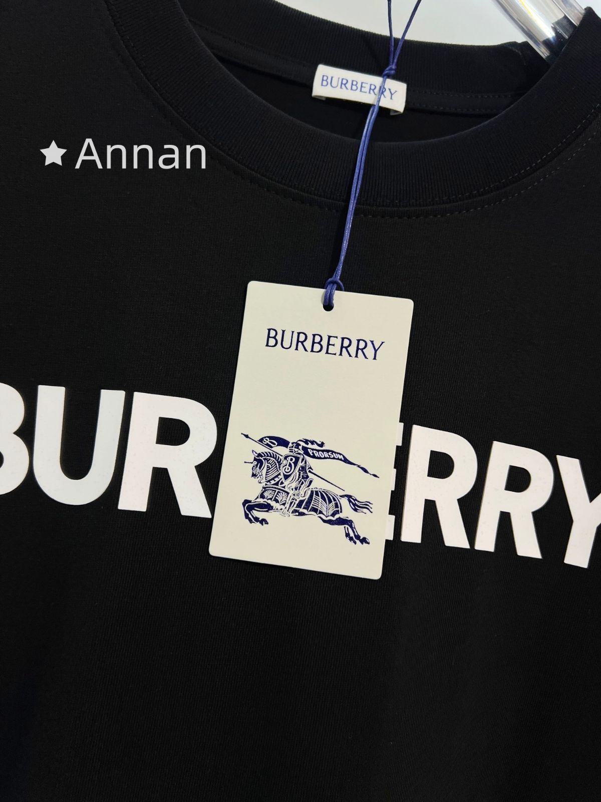期間限定☆BURBERRY バーバリー Tシャツ　半袖　夏服　トップス 男女兼用