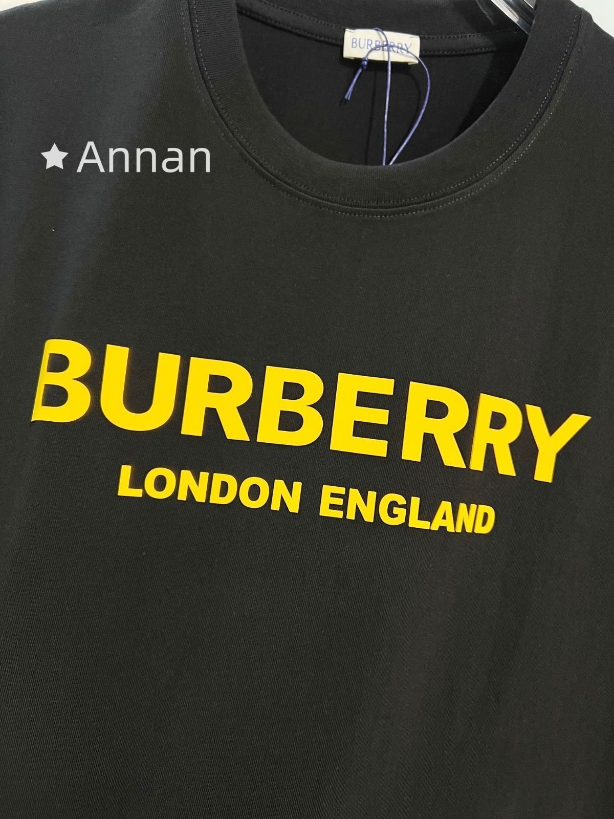 人気 超美品BURBERRY バーバリー Tシャツ　半袖　夏服　トップス 男女兼用