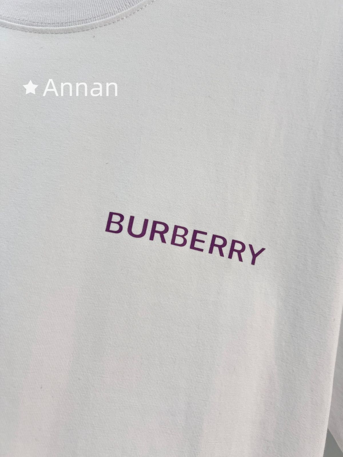 本日特価 本日限定！BURBERRY バーバリー Tシャツ　半袖　夏服　トップス 男女兼用