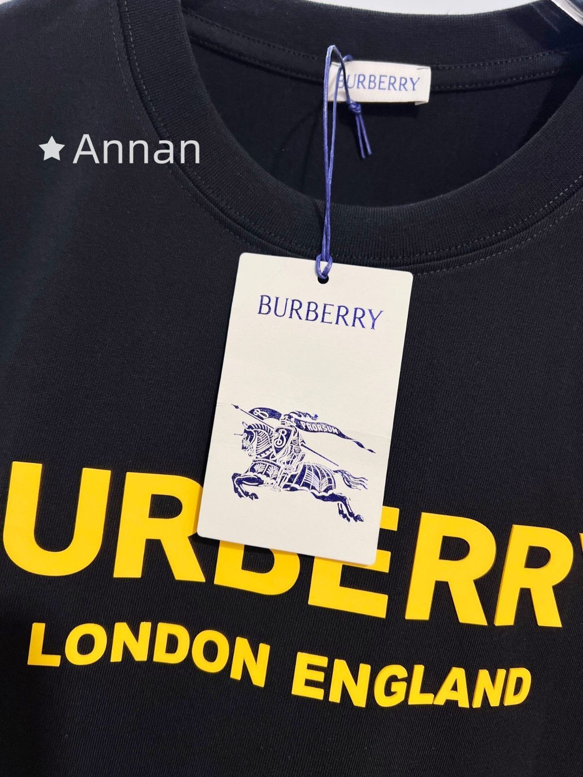 人気 超美品BURBERRY バーバリー Tシャツ　半袖　夏服　トップス 男女兼用