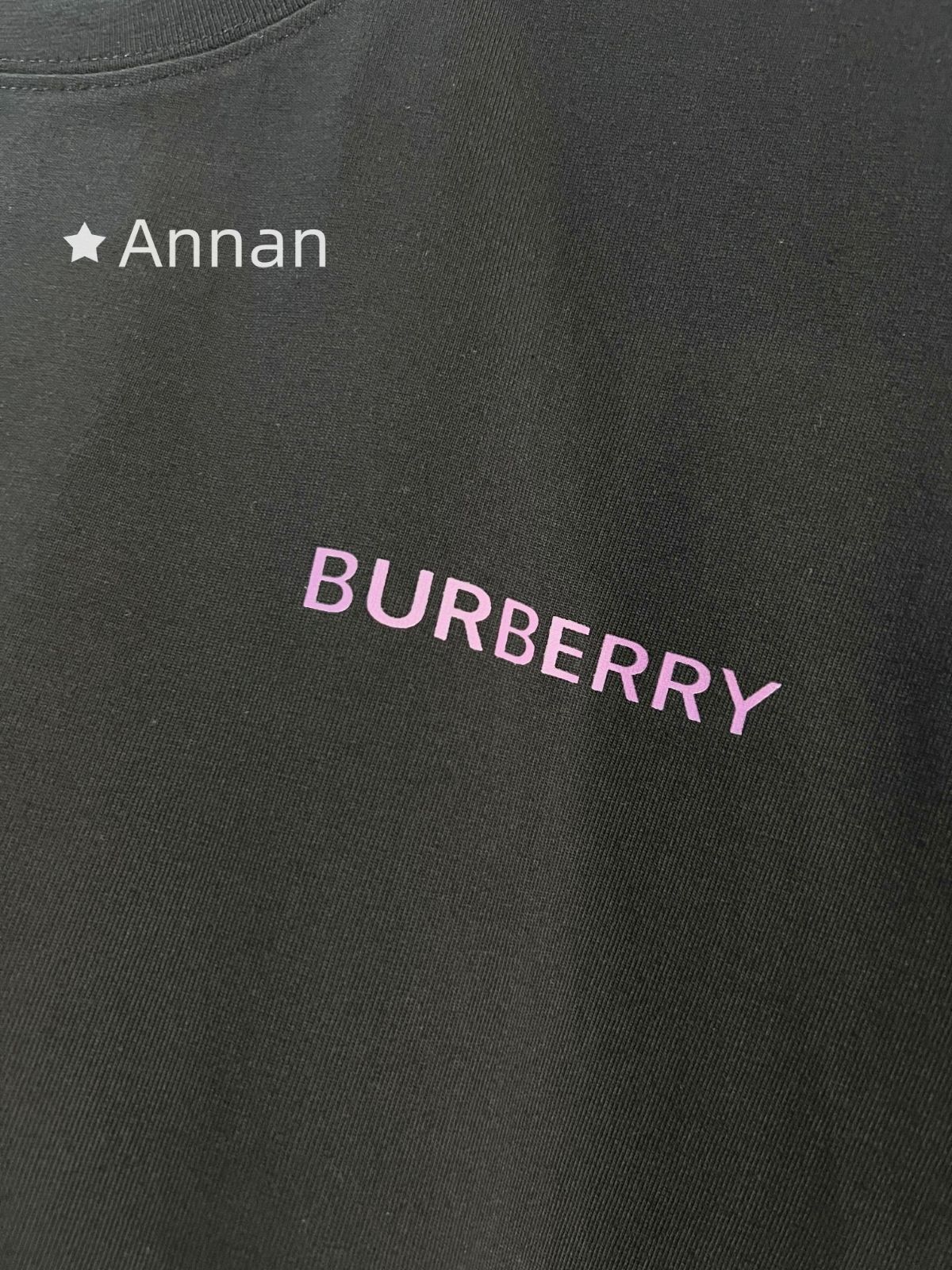 新品 本日特価 本日限定!BURBERRY バーバリー Tシャツ 半袖 夏服 トップス 男女兼用 新品 本日特価 本日限定!BURBERRY バーバリー Tシャツ 半袖 夏服 トップス 男女兼用