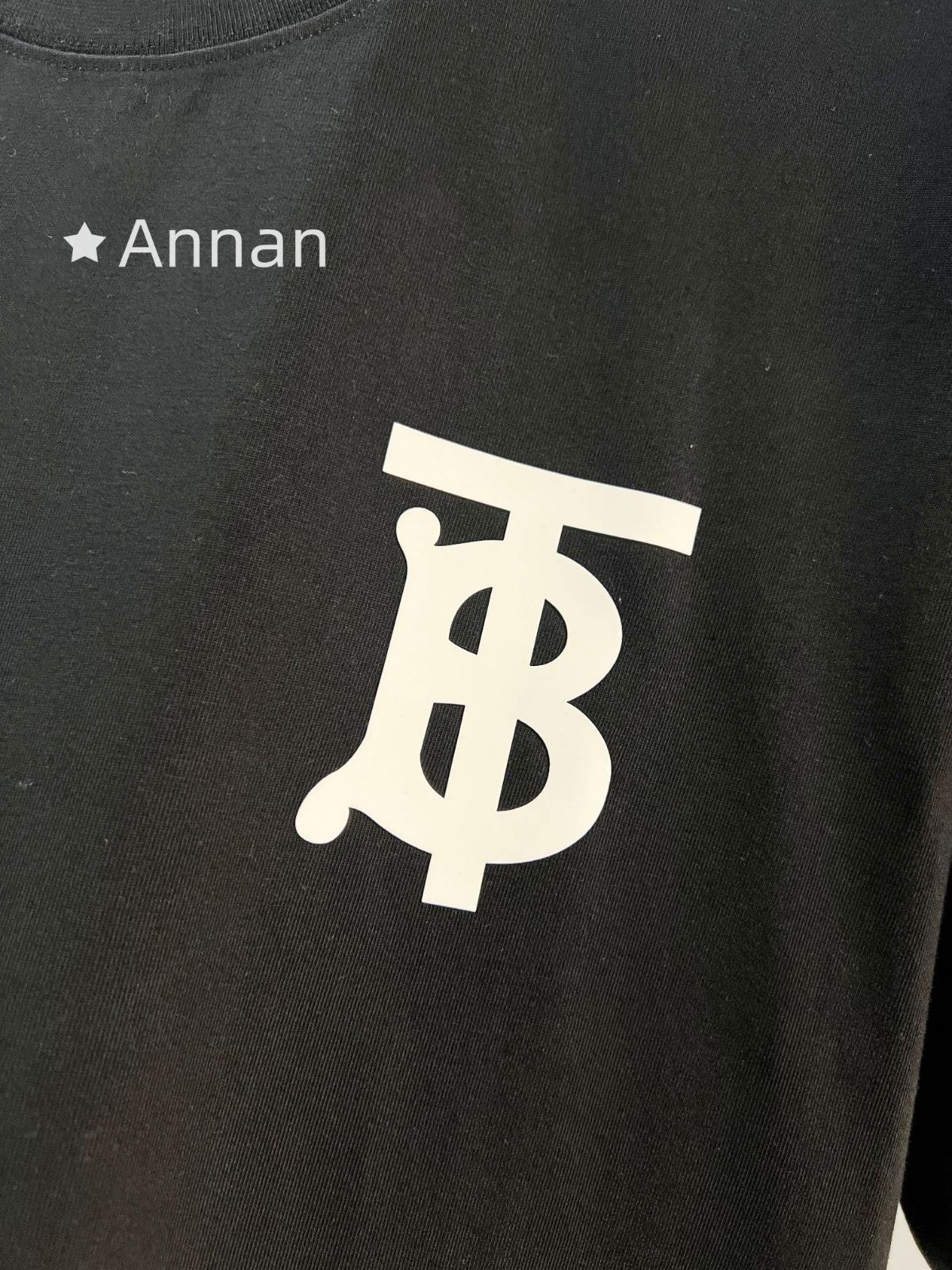 現行モデ 本日限定！BURBERRY バーバリー Tシャツ　半袖　夏服　トップス 男女兼用