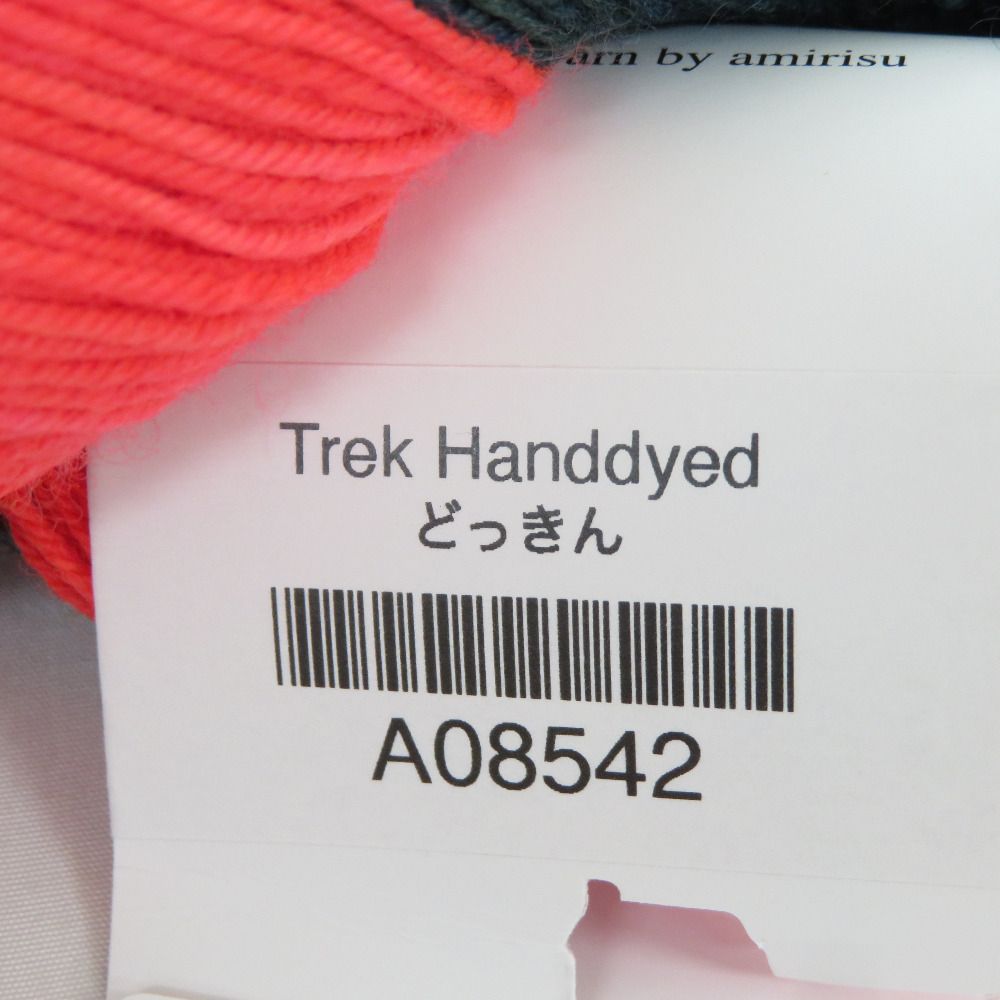 毛糸 amirisu アミリス Trek Handdyed どっきん 2カセ 手染め糸 約100g