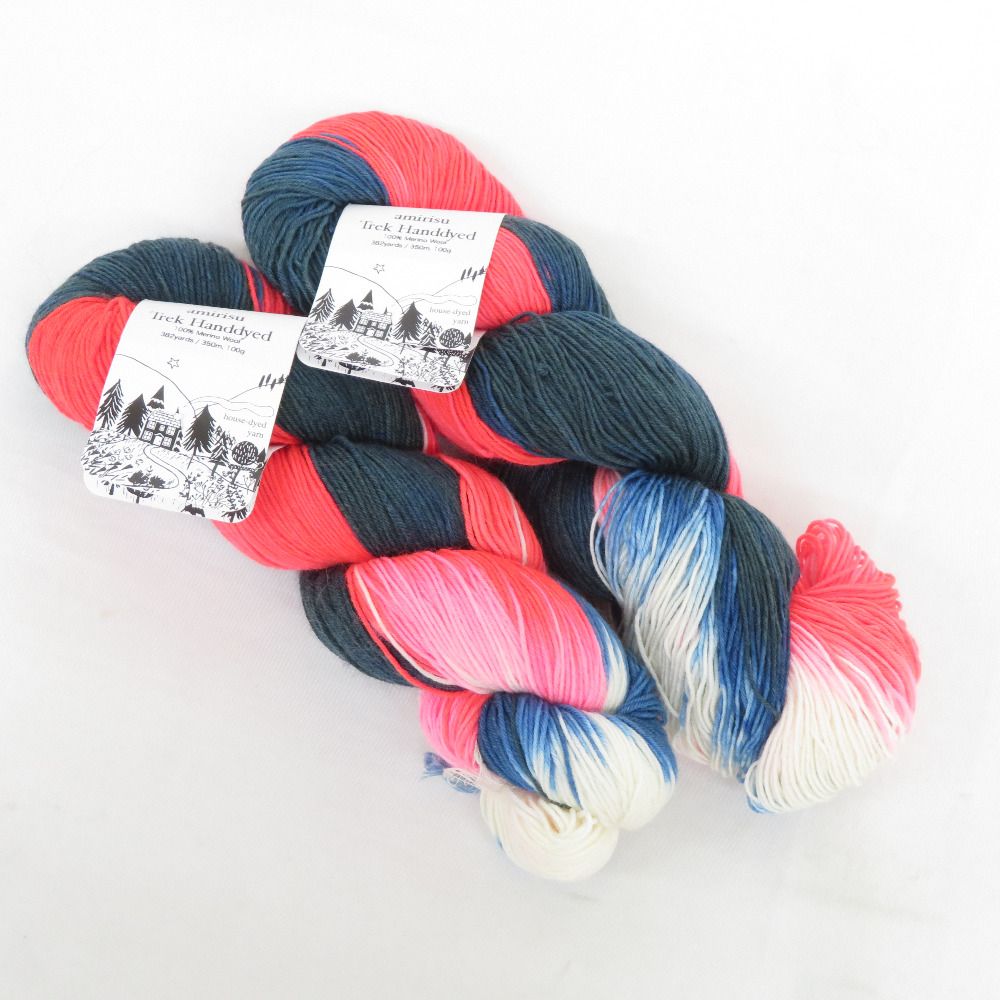 毛糸 amirisu アミリス Trek Handdyed どっきん 2カセ 手染め糸 約100g