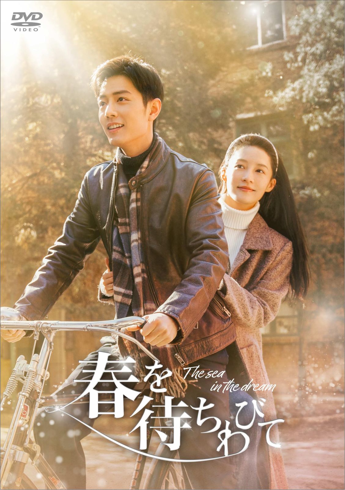 春を待ちわびて～The sea in the dream～　DVD‐BOX3 [DVD]