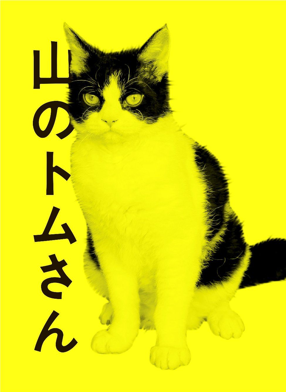 山のトムさん (初回限定色) [DVD]