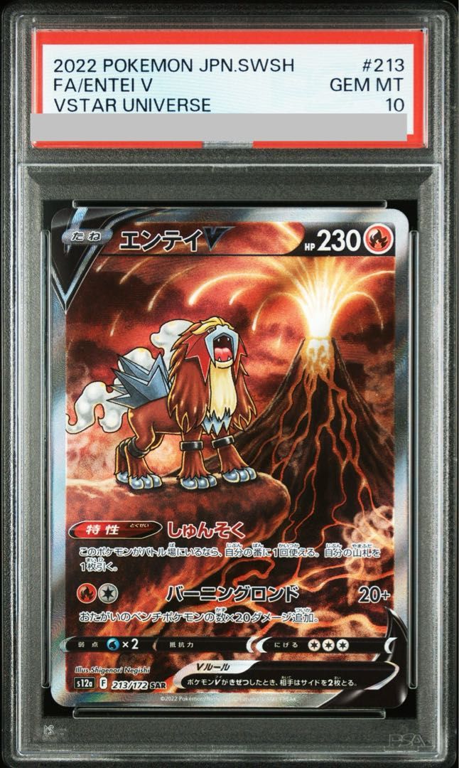 PSA10】エンテイV SAR 213/172 1枚 - メルカリ