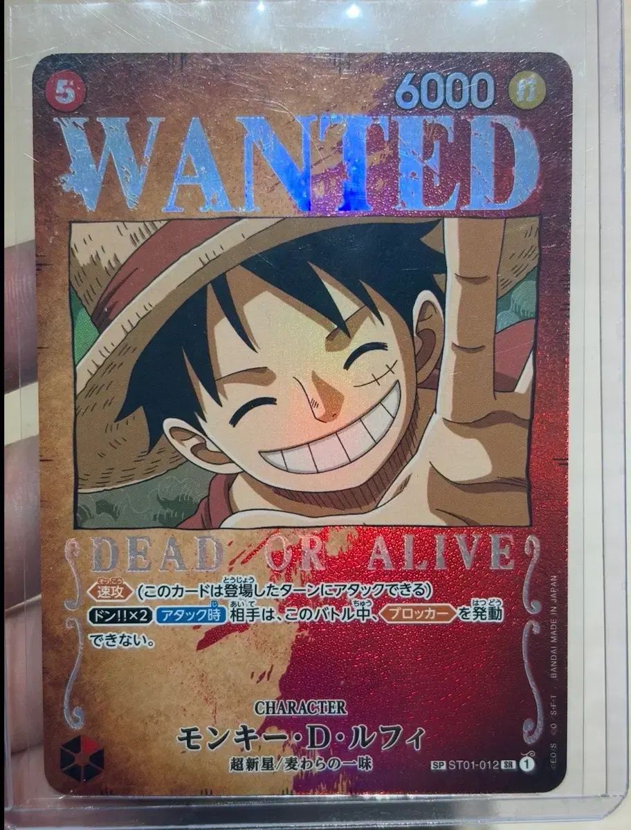 ONE PIECE カード 一般 モンキー・D・ルフィ(ルフィ) 手配書