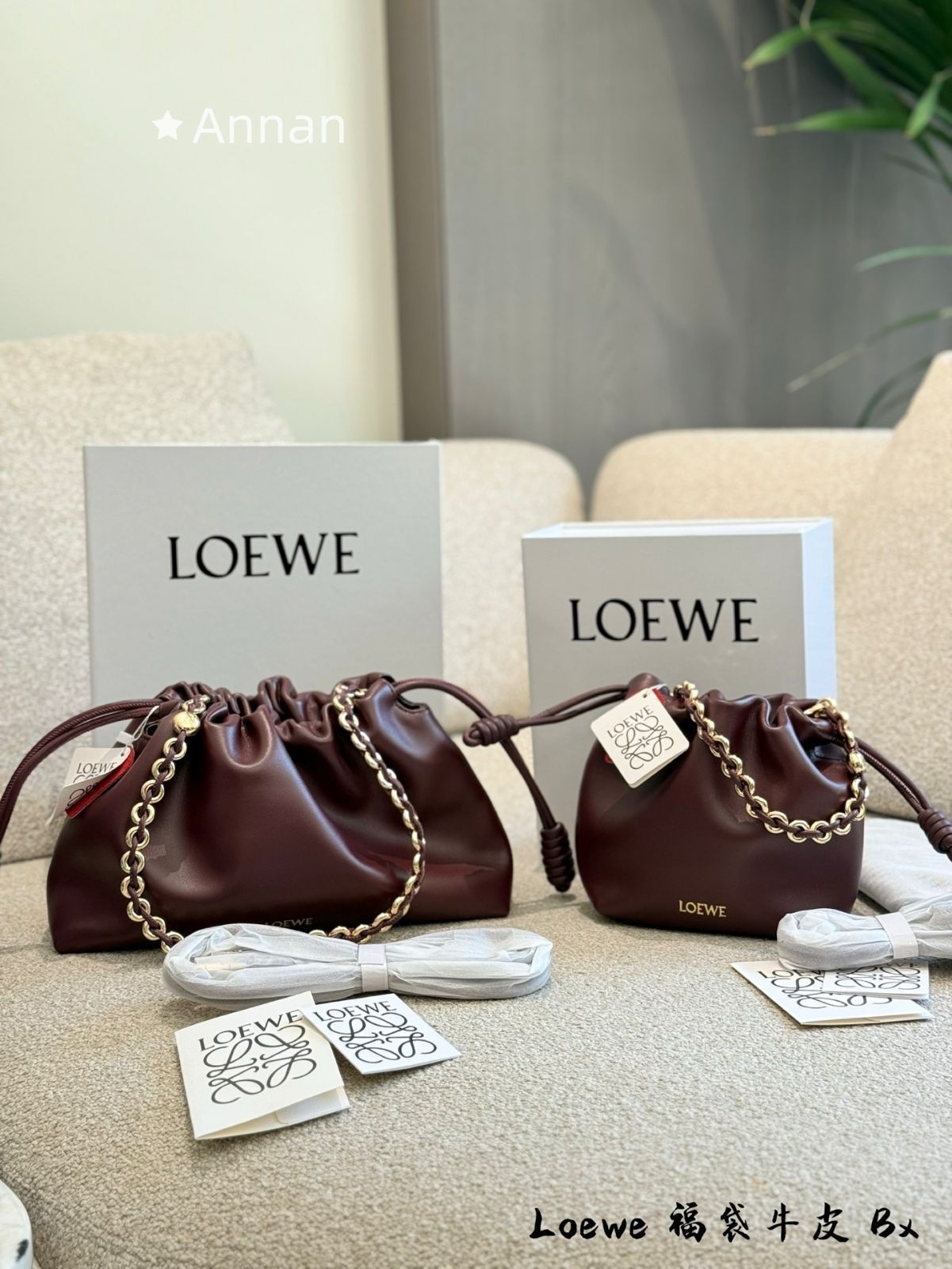超美品 美品 限定品 レディース LOEWE　ロエベ ショルダーバッグ