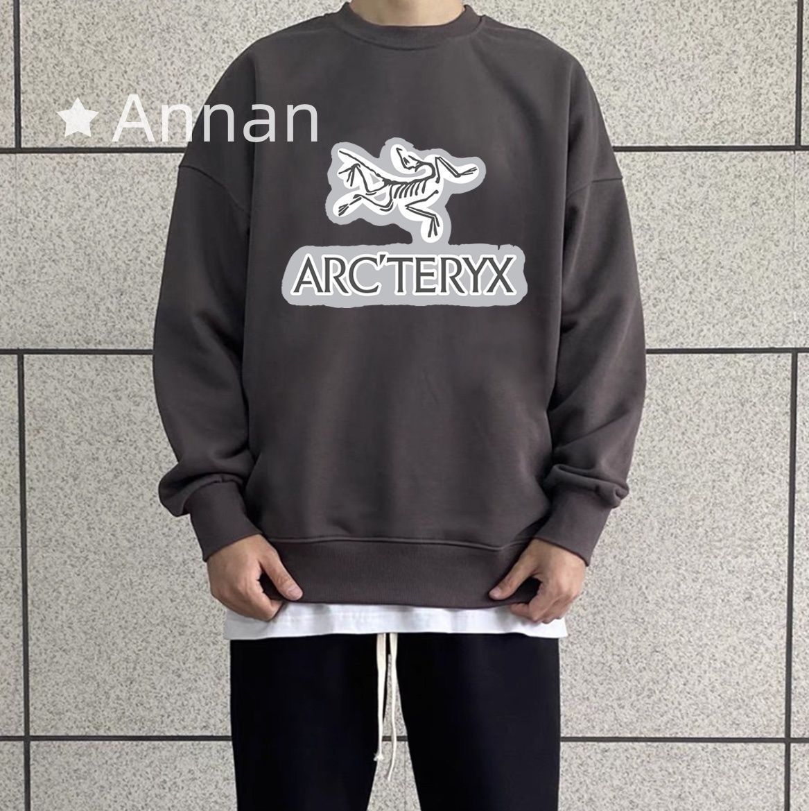 美品 美品 新品！新品 タグ付 ARC'TERYX アークテリクス パーカー シンプルフード付きパーカー ユニセックス