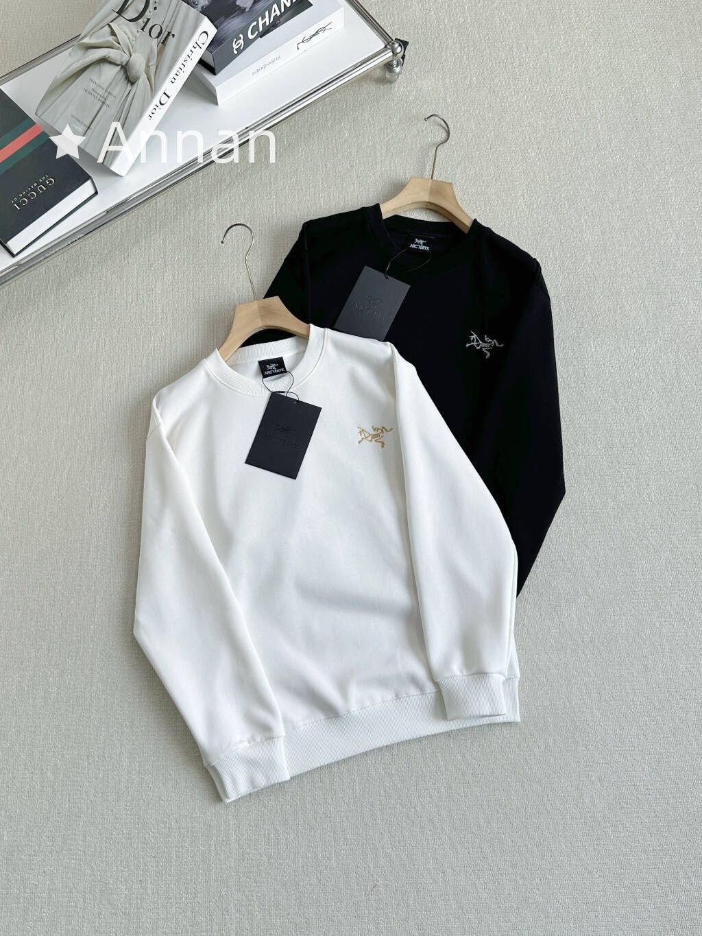 極美品 入手困難新品 タグ付 ARC'TERYX アークテリクス パーカー シンプルフード付きパーカー ユニセックス