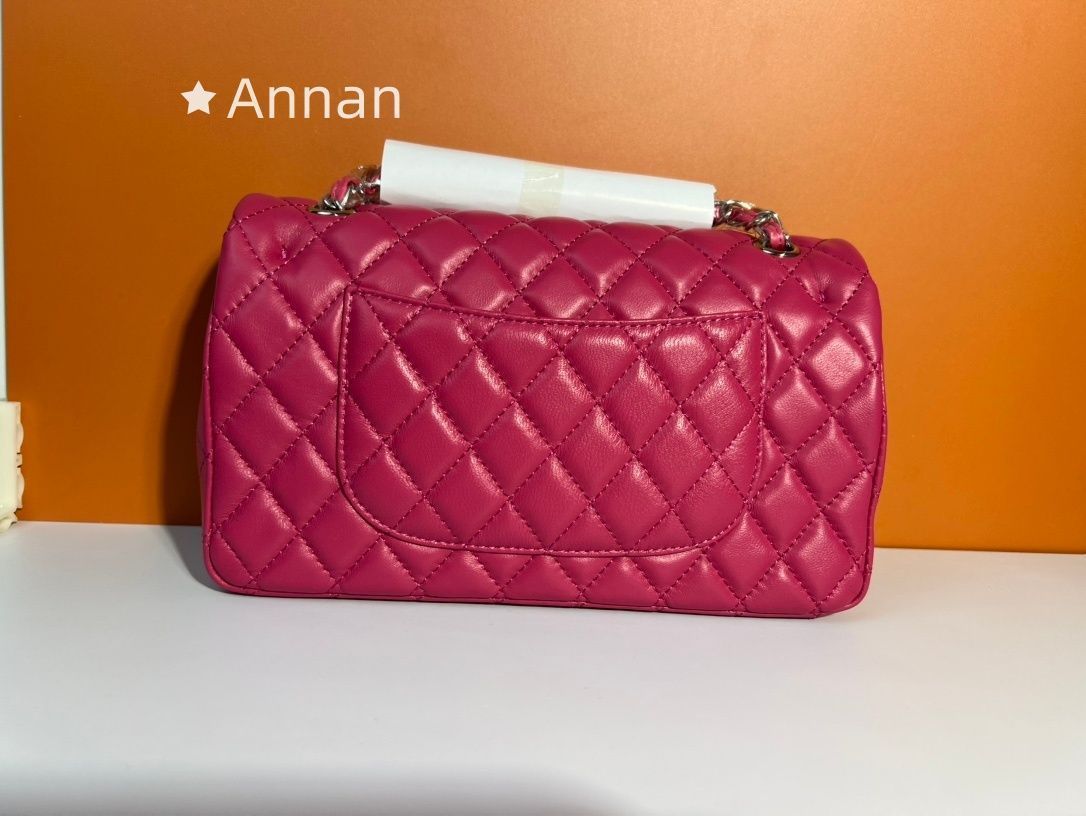 激レア 限定品★★実物の写真 レディース CHANEL シャネル ショルダーバッグ 2WAY