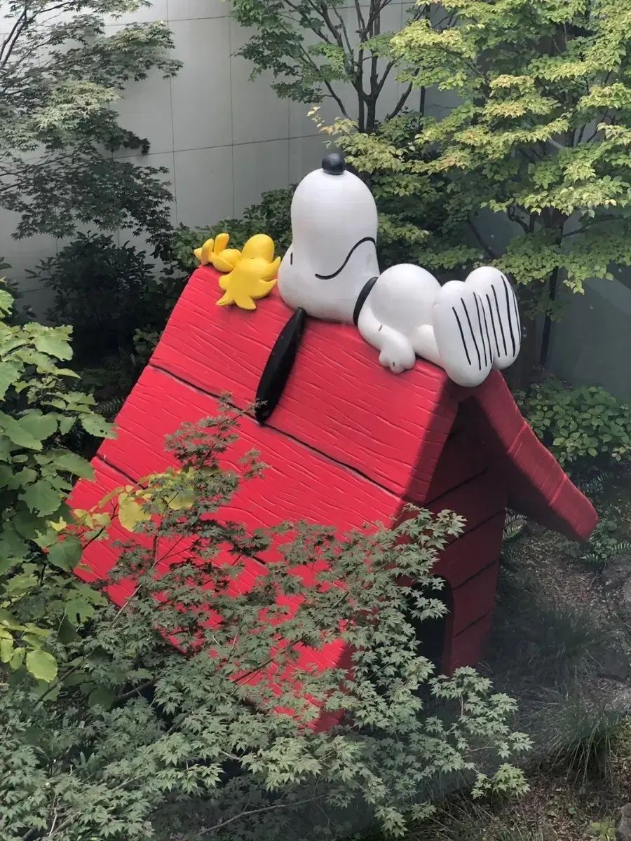 안락한様