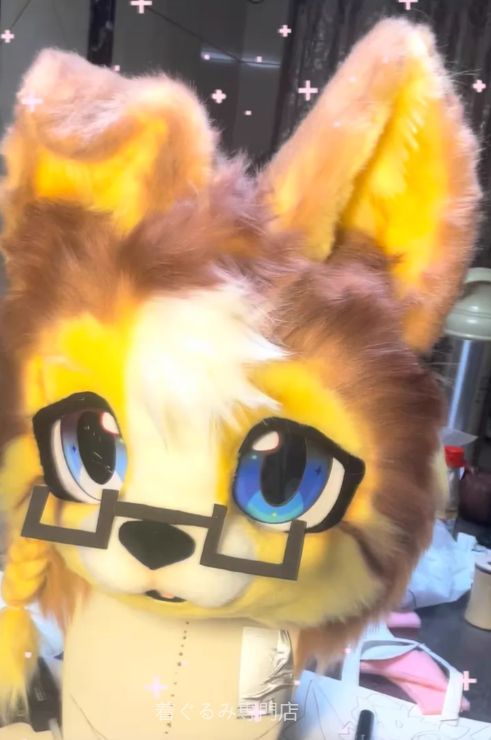 狼　犬　猫　着ぐるみ ヘッド全頭　ヘッド ケモノ ファースーツ ぬいぐるみ コスプレ コスチューム Kurumi 一点物 D18