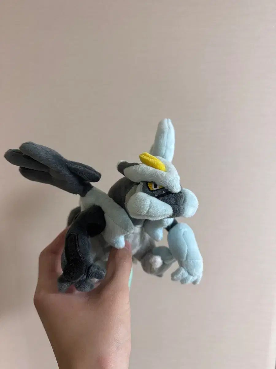 ポケットモンスター フィット ブラックキューレム 白キュレム
