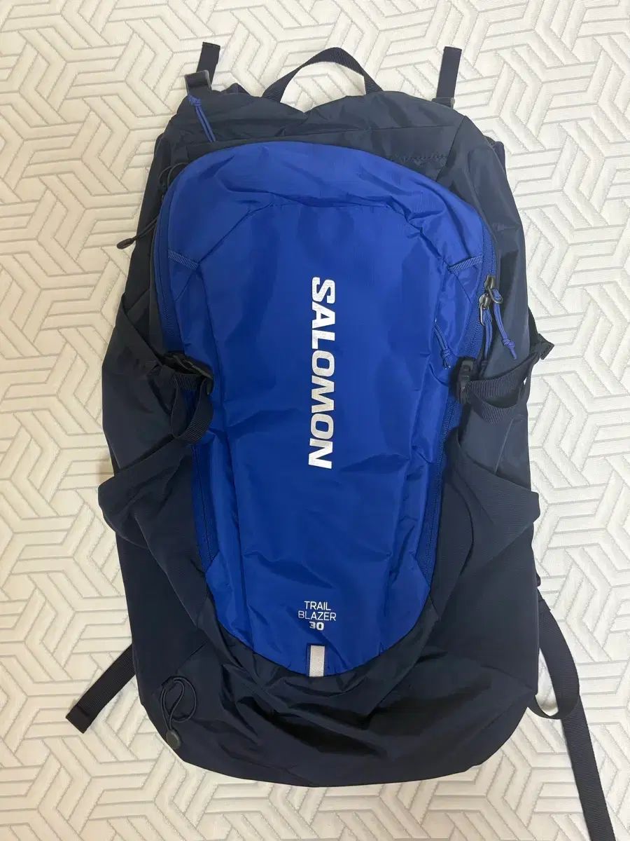 SALOMON サロモン トレイルブレーザー 30 サーフザウェブ (ブルー) バックパック