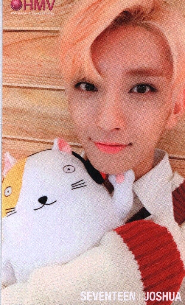 SEVENTEEN SVT JOSHUA トレーディングカード - メルカリ