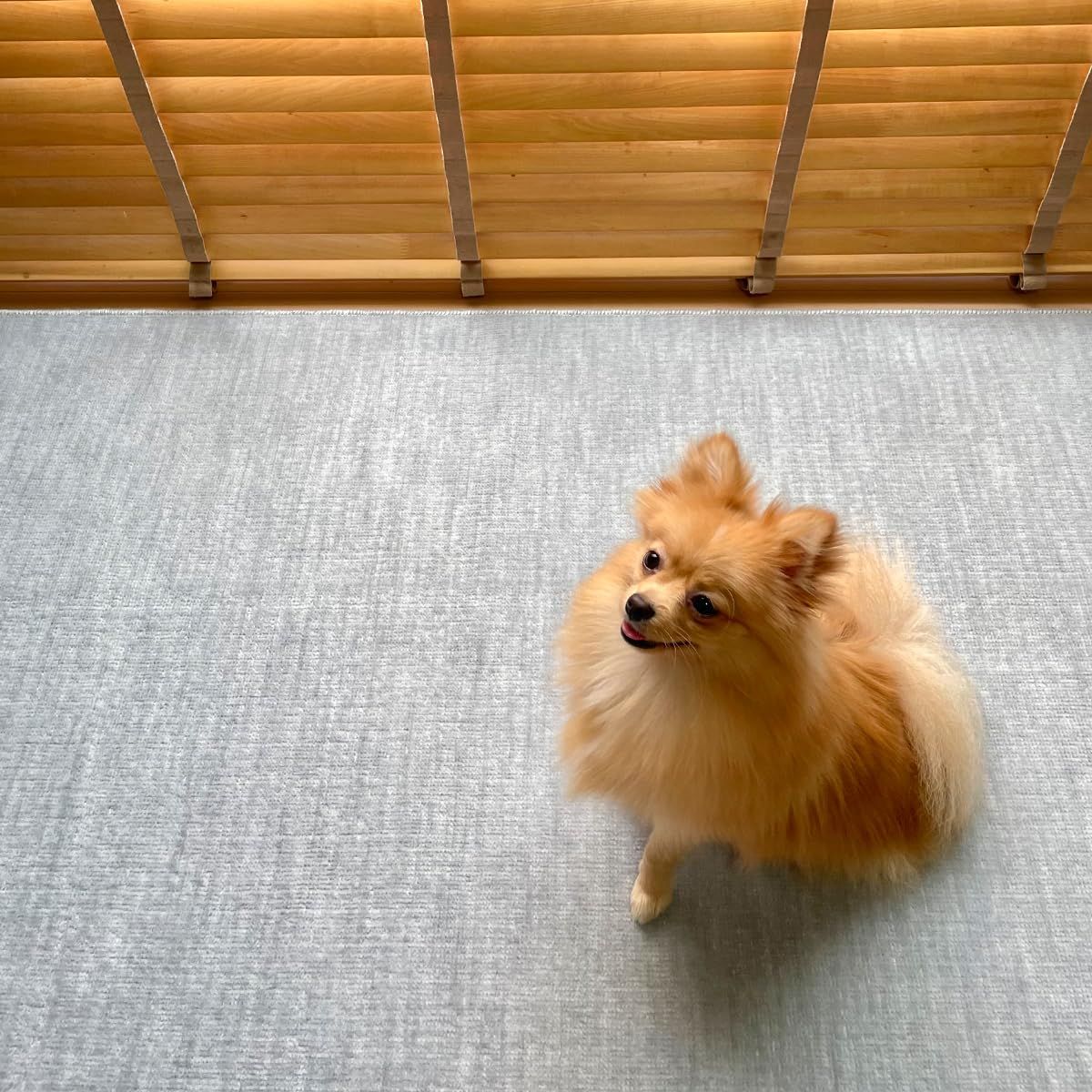 【迅速に発送】辻川産業 カーペット 江戸間 6畳 犬 猫 ビオラ 261×352cm グレー ペット対応 日本製 26de3196