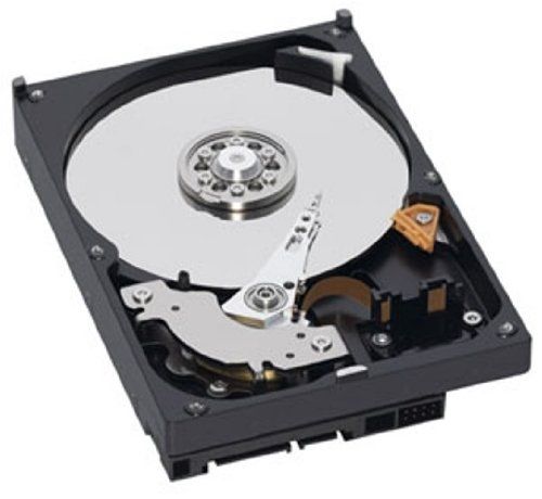 新品 Western Digital Caviar Green 3.5inch 5400rpm 1TB 64MB SATA 3.0Gbps WD10EARS
