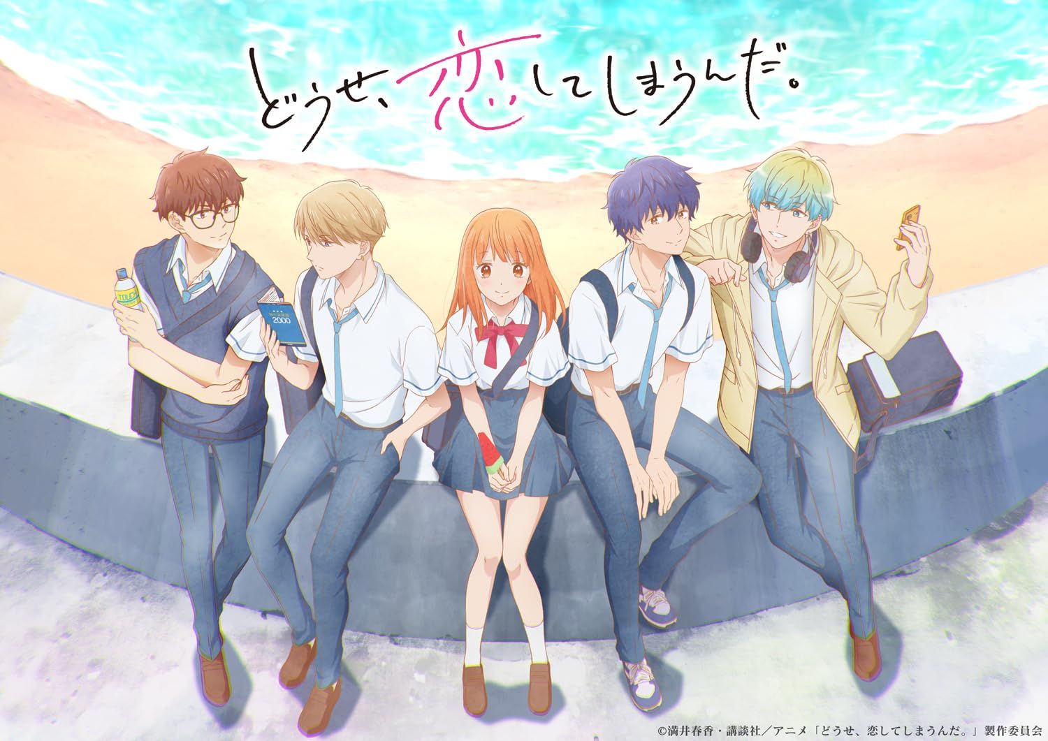 どうせ、恋してしまうんだ。 DVD BOX Vol.2 [DVD]