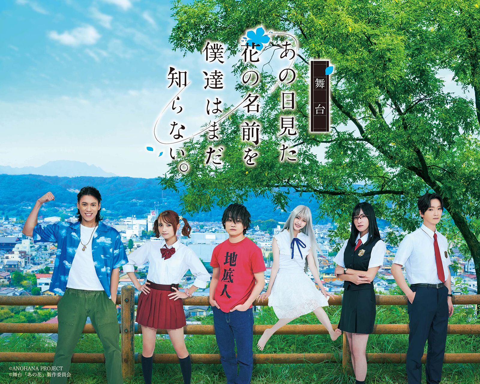 舞台「あの日見た花の名前を僕達はまだ知らない。」(通常版) [DVD]