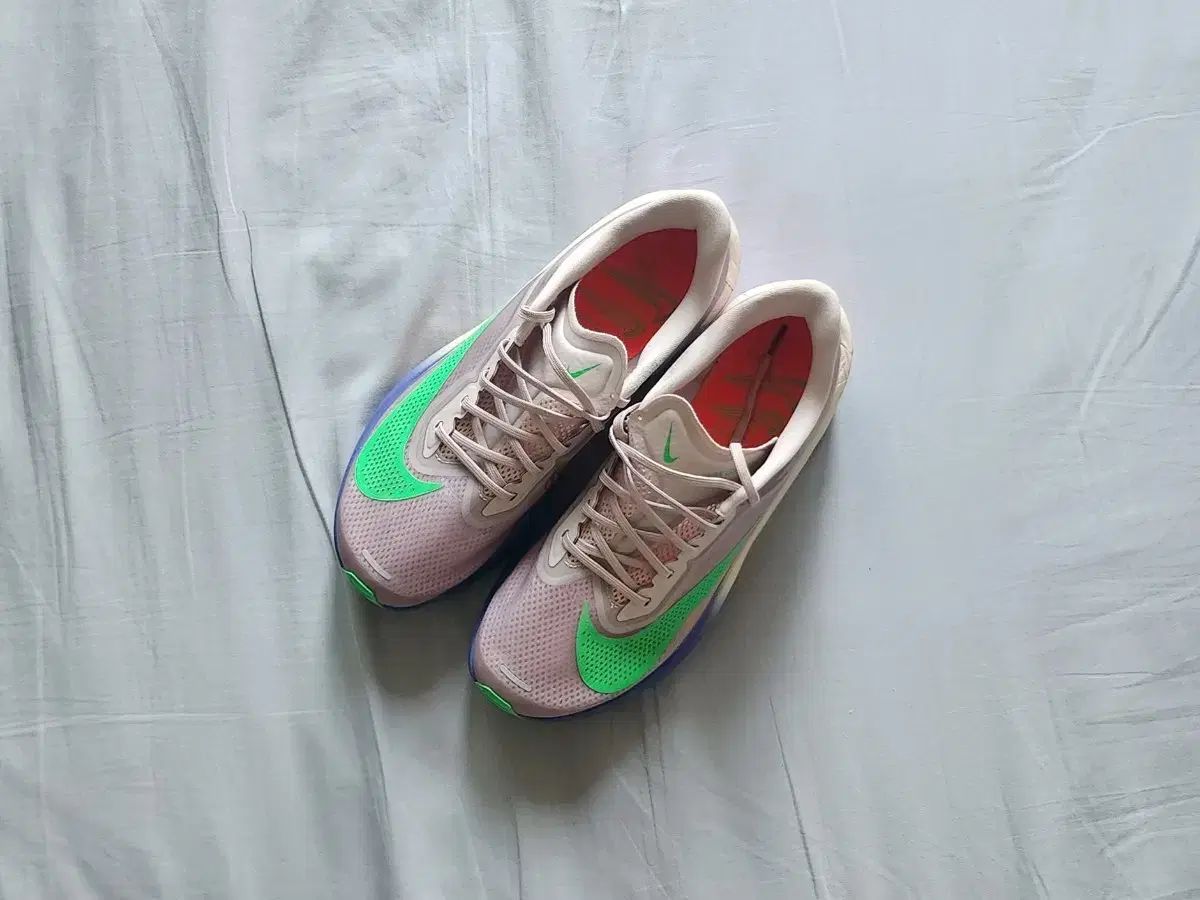 NIKE ズームフライ6 キプチョゲ 28.5サイズ