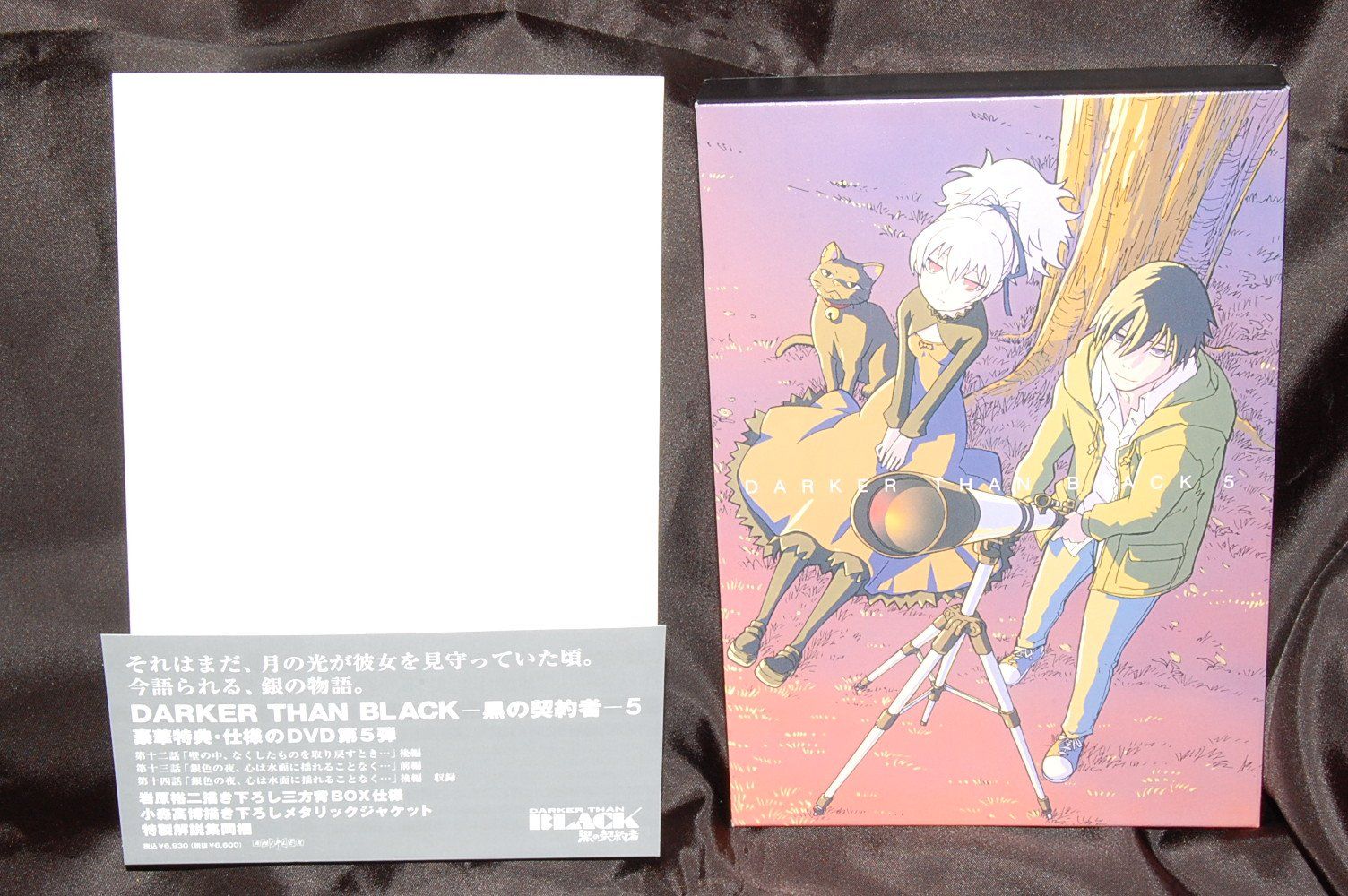 DARKER THAN BLACK -黒の契約者- (5) [DVD]