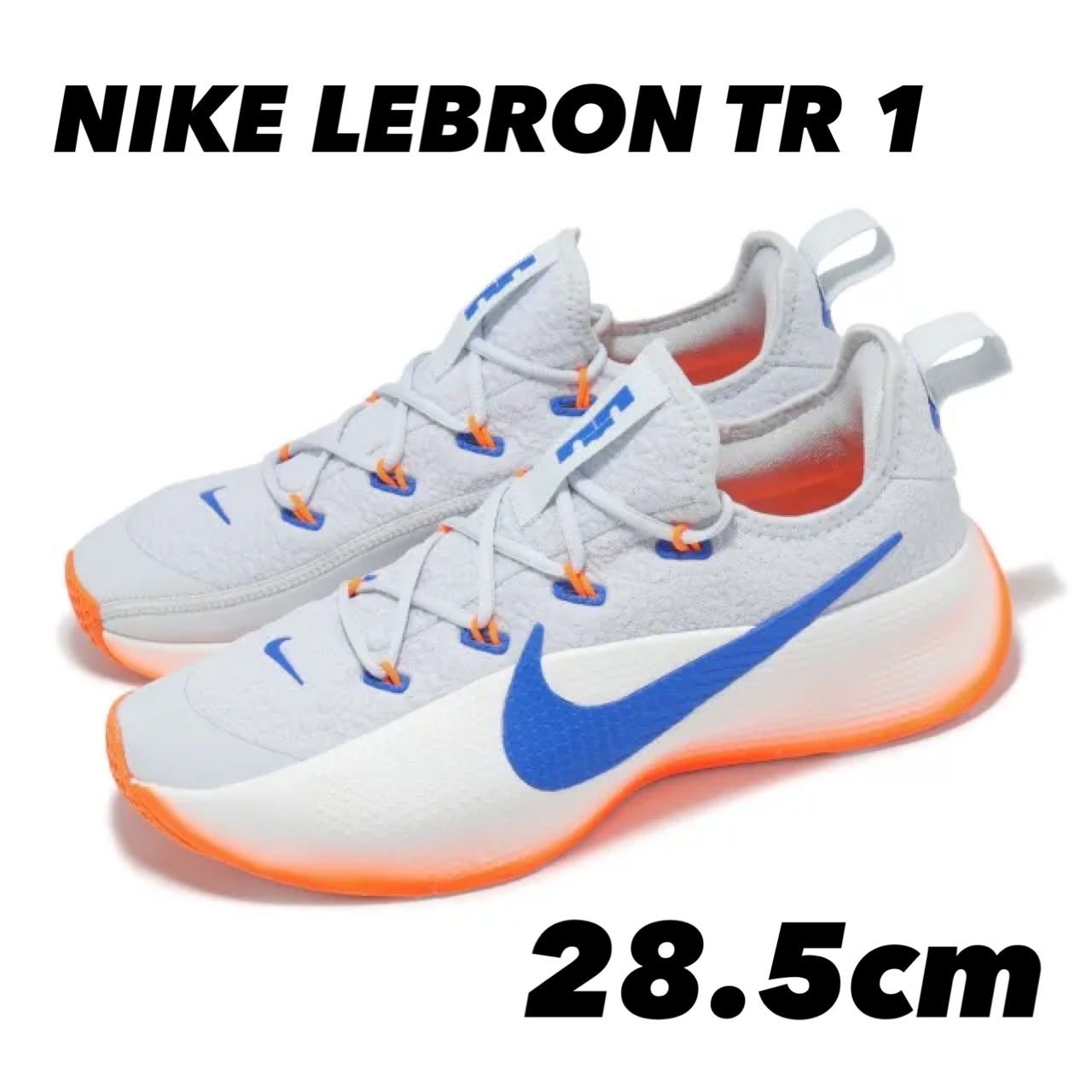 NIKE LEBRON TR 1 ナイキ レブロンTR1 PURE PLATINUM/PHOTO BLUE FJ6151-005 28.5cm