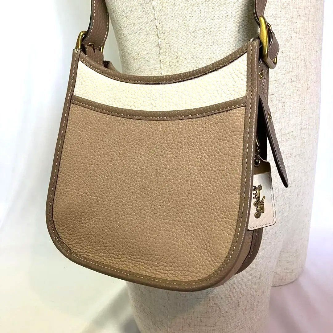 【極美品】COACH コーチ エメリー クロスボディ 21 カラーブロック 89124
