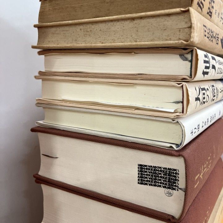 まとめ売り 小説のフリマアイテム一覧 □01)1点限り!日本文学関連本