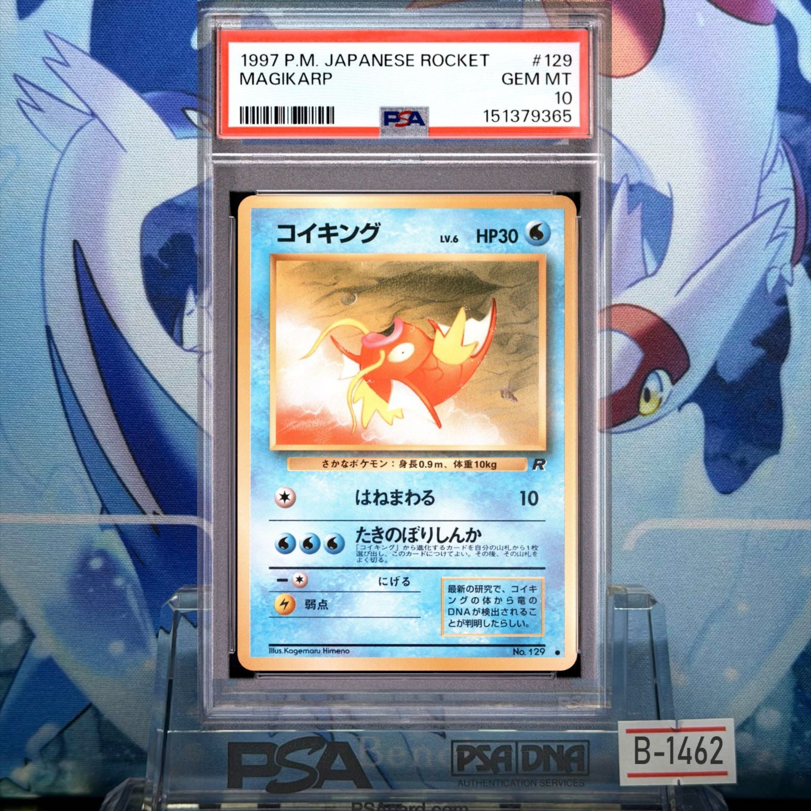 PSA10 コイキングC旧裏PMCG LV.6 ロケット団 129 1997 PSA10 コイキング C 旧裏 PMCG LV.6 ロケット団 129 1997 B-1462
