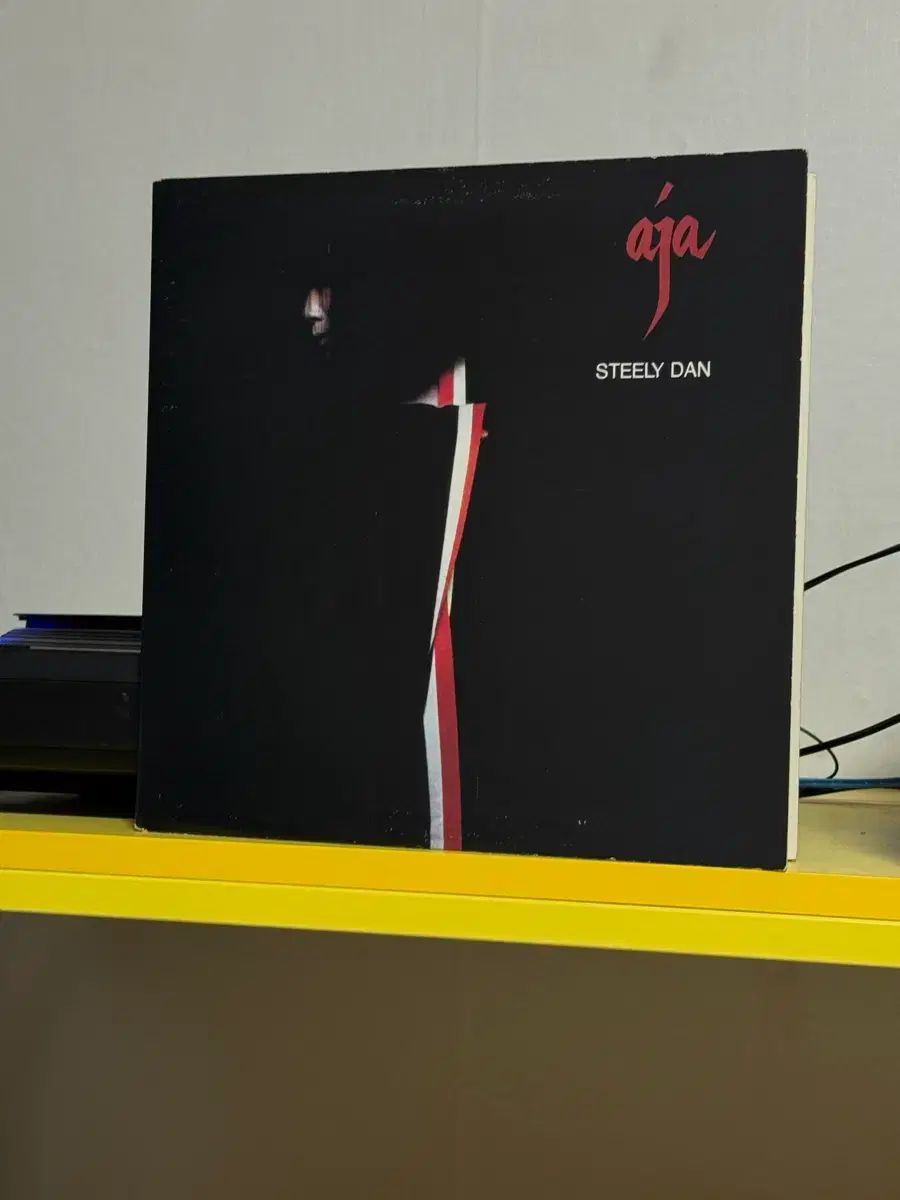 Rock Steely Dan (スティールリー ダン) LP 出品