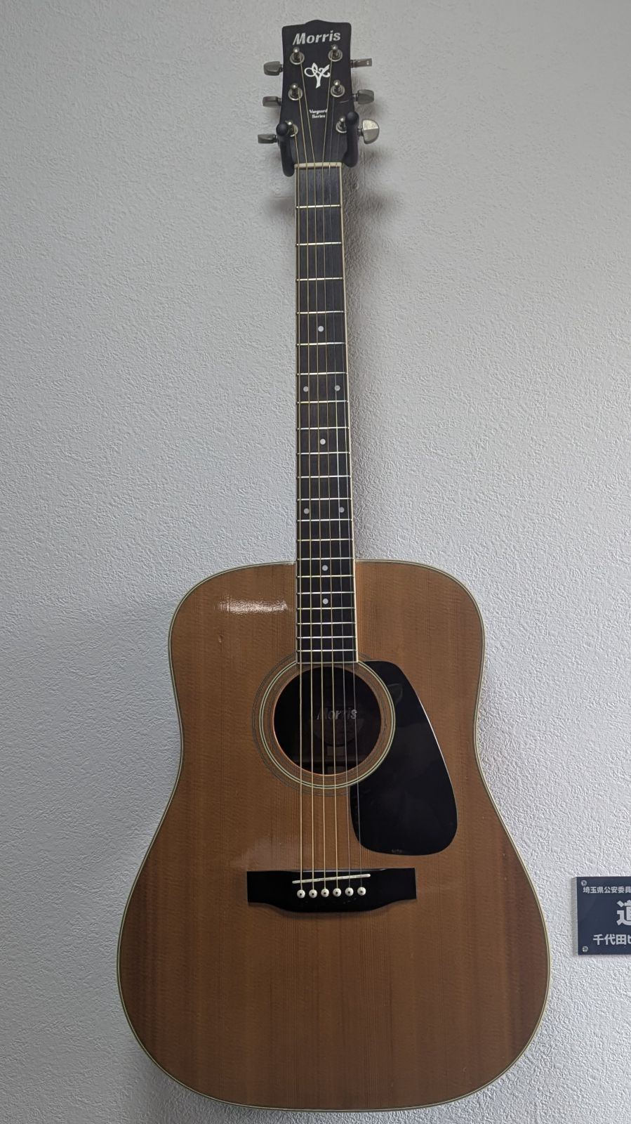 単板 名機 調整済】Morris MV-701 アコースティックギター トップ単板