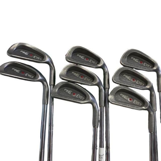 【中古】 ピン EYE 2 ステンレス 9S アイアンセット IR KARSTEN 101 (フレックスUNI) メンズ 男性用 右利き 右用 Cランク ゴルフクラブ