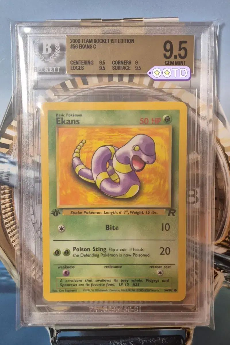 初回版 BGS9.5 2000 北米版 ポケモンカード アボ