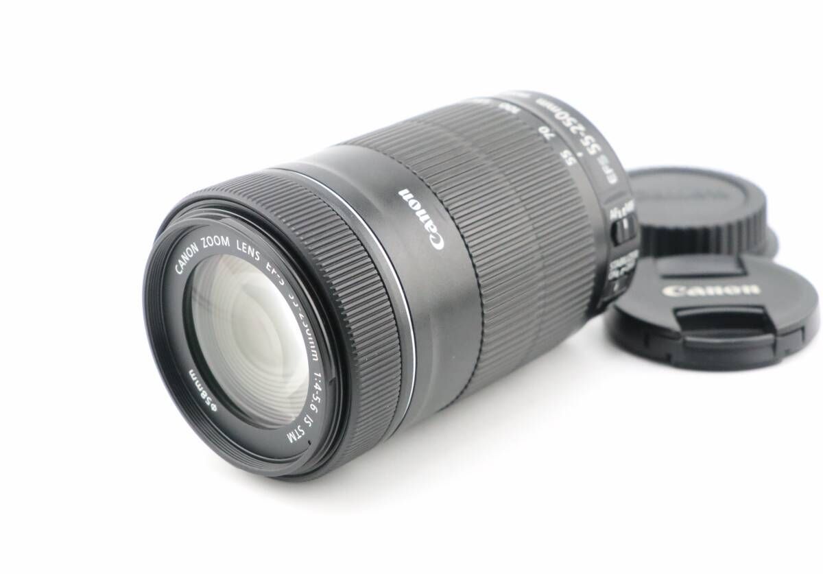 ★美品★キヤノン CANON EF-S 55-250mm F4-5.6 IS STM★　W0612＃5243 14,976円