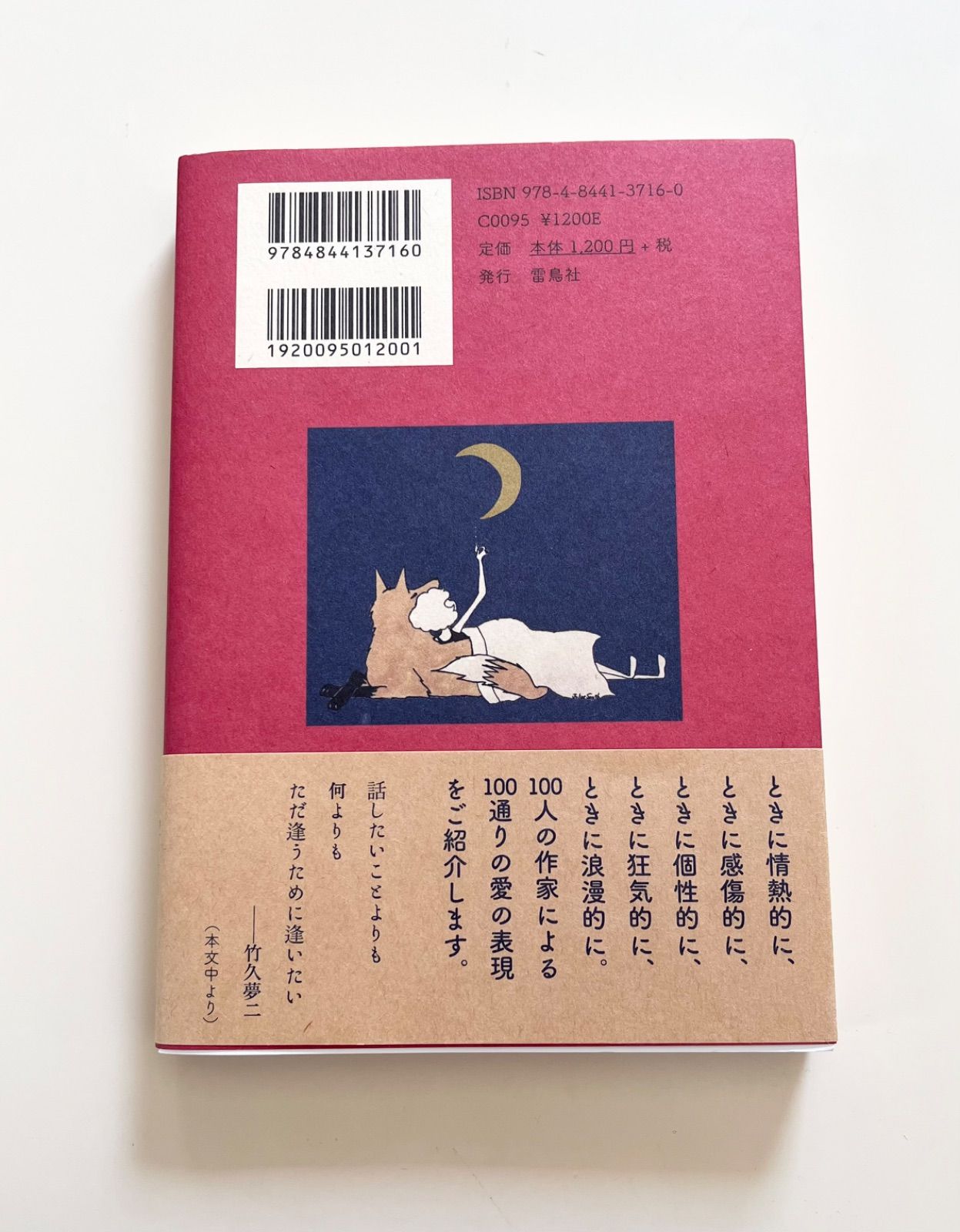 I Love Youの訳し方 著/望月竜馬 絵/ジュリエット・スミス - メルカリ