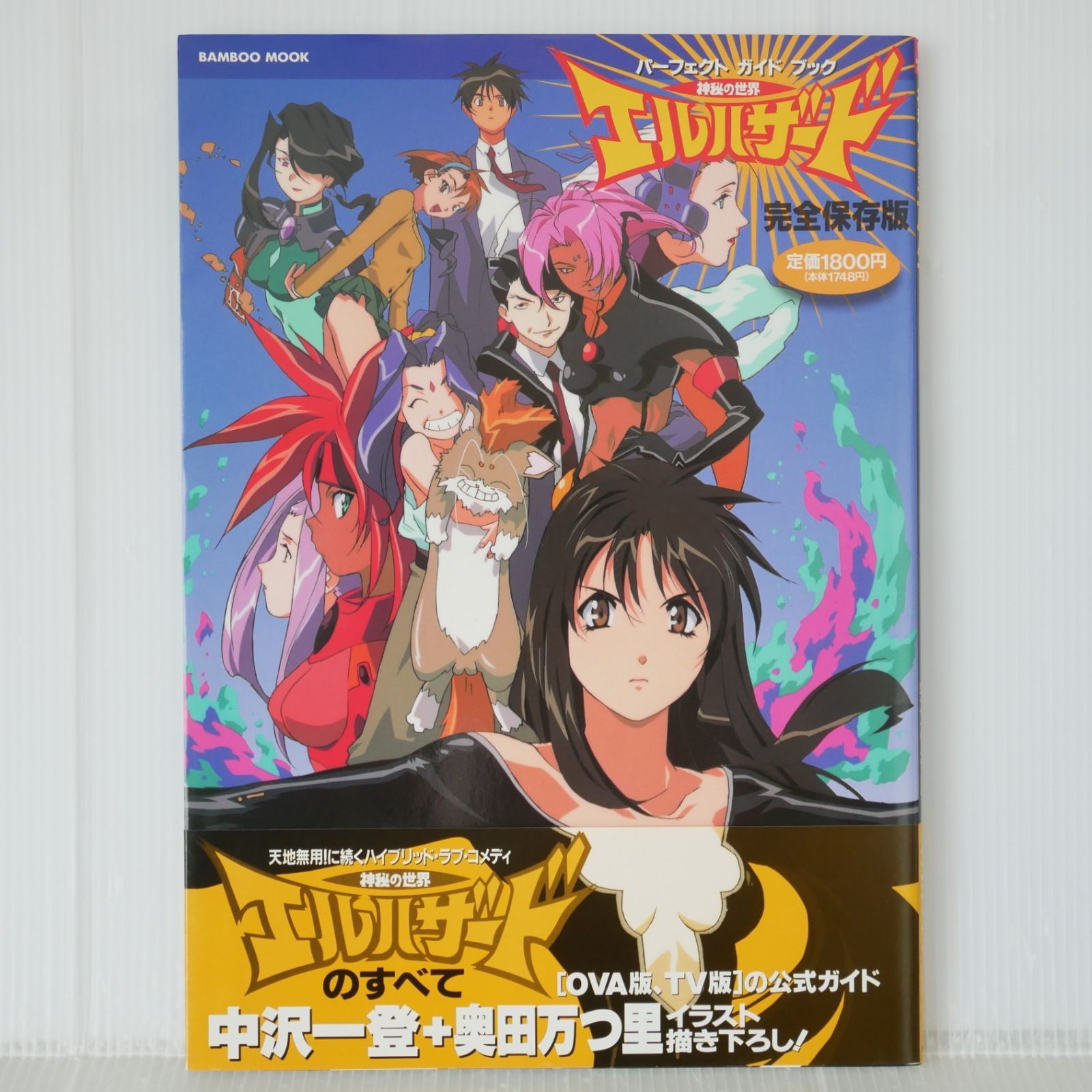 (帯付き) 絶版 (1996年5月24日 第2刷発行) 神秘の世界エルハザード パーフェクトガイドブック 完全保存版 - El-Hazard The Wanderers Perfect Guide Book