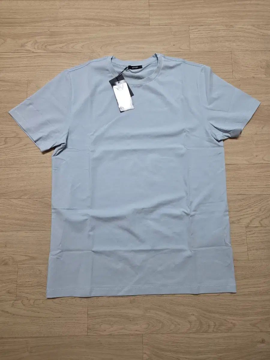 Allegri アレグリ フリーサイズ ベーシック Tシャツ L 105 130,000円 スカイブルー