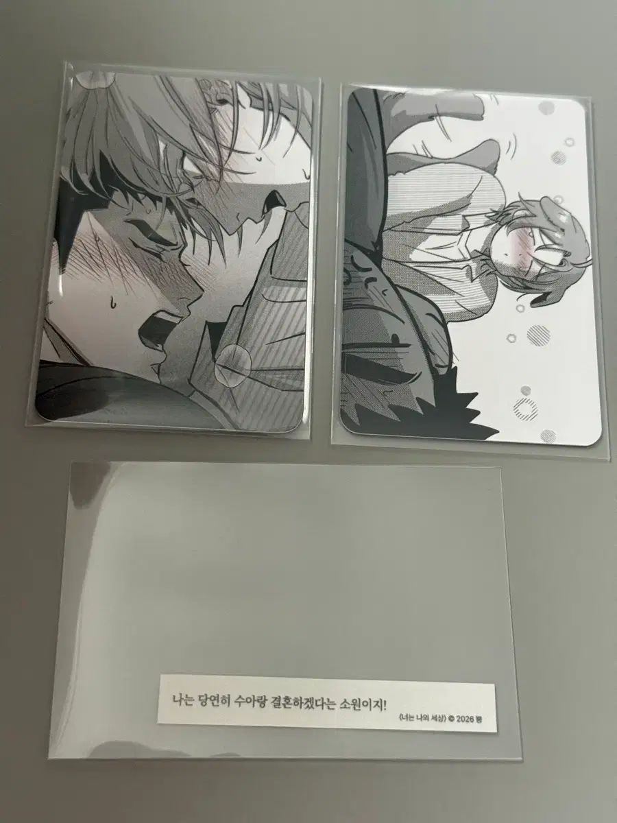 너는나의세상(私私のセサン)春特典トレカ a b まとめ